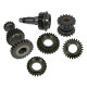 C-STN77EVO-Kit pignonerie boite Mini "ABINGTON ST " taille droite (rod change A+)